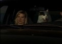 Sleeping Dogs Lie picture
