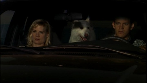 Sleeping Dogs Lie