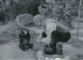Secret Chimp 007 picture