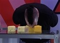 The Cheese Challenge picture