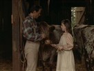 Emily of New Moon | Season 1 Episode 2 | Storms of the Heart