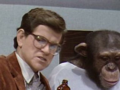 I Married a Monkey Video