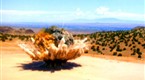 Explorer: Deadly Blast