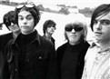 Dig! picture