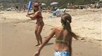 Beachin' Barneys