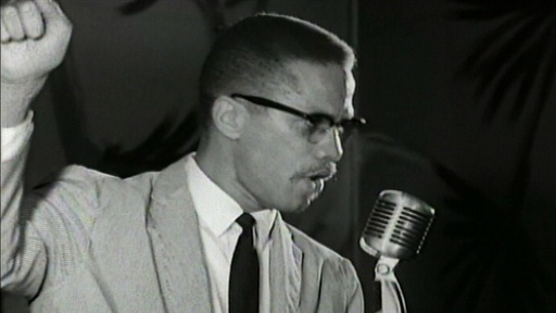 malcolm x quotes by any means necessary. VIDEO: Malcolm X Speech