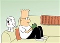 Casino Dogbert picture