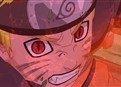 Nine-Tails Unleashed picture