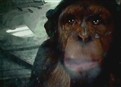 play video on Hulu
