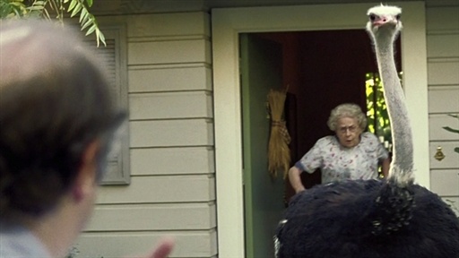 Pedigree: Crazy Pets Video