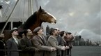 Budweiser: Clydesdales/Generations