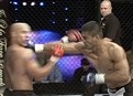 Frank Trigg vs. Falaniko Vitale picture