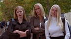 Pumpkin: Rumors