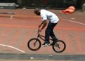 Nigel Sylvester picture
