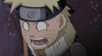 A Battle of Bugs! The Deceivers and the Deceived!