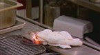 Your Cloth's On Fire