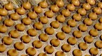 Valentines Day - How Chocolate is Made