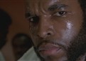 Pity the Fool picture