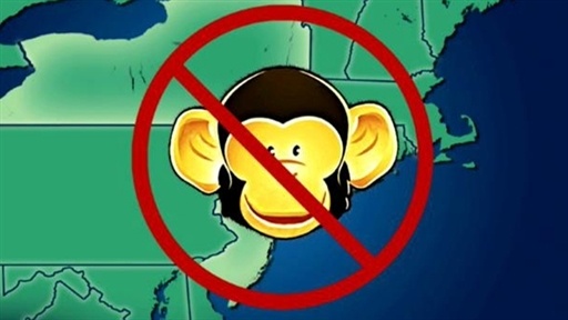 Noah the Chimp