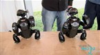 Are Solar Powered Cars the Future?