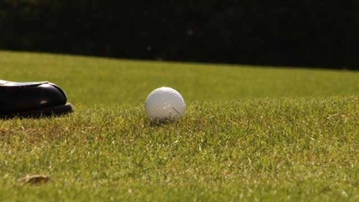 Flop Shot