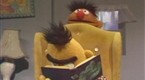 Sesame Street: Ernie Gets Bert to Exercise