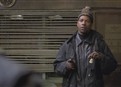 Looking for Tariq picture