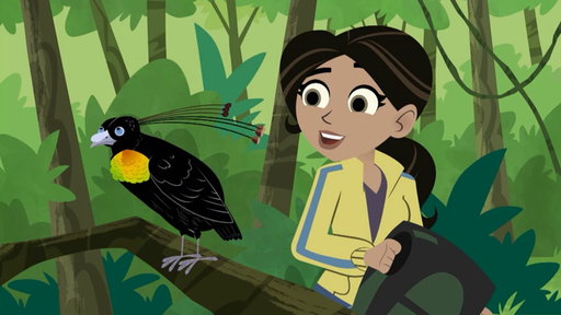 Wild Kratts : Birds of a Feather