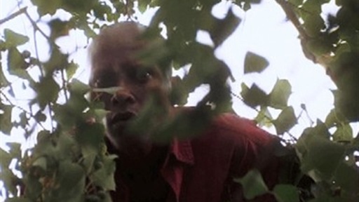 Forest Surprise: Mandrake Video
