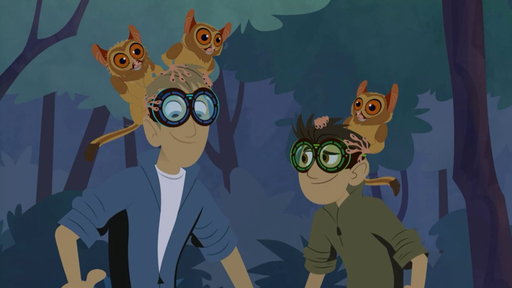Wild Kratts : Googly-Eye : The Night Guru