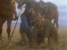 The Young Riders The Play's the Thing