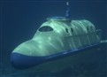 S.O.S. Dolphin picture
