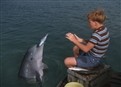 Flipper's Treasure picture