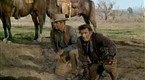 The Big Valley: The Midas Man (season 1, episode 28)