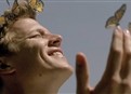The Butterfly Crown picture