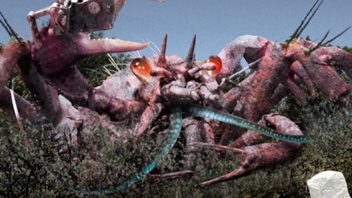 Experts Agree Giant, Razor-Clawed Bioengineered Crabs Pose No Th