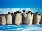 Emperors of the Ice