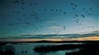 Amazing Journeys