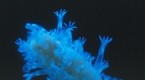 Origins of Life