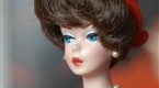 Barbie Doll Biography
