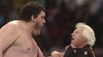 WWE Classics: Demolition vs. Haku and Andre the Giant