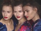 Erdem: Fall 2009 RTW