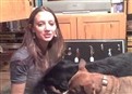 It's A Doggy Dog World! picture
