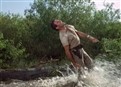 Disaster In The Everglades - Part I picture