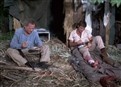 Disaster In The Everglades - Part II picture