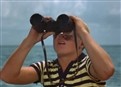 Lost Dolphin picture
