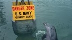 Flipper - Original: The Firing Line - Part II (season 3, episode 24)