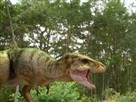 Dinosaur Body-Building