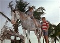 Flipper And The Horse Thieves picture