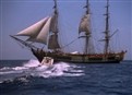 Flipper And The Bounty picture